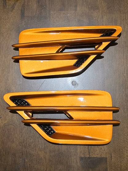 VZ HSV Series 1 Guard Inserts - Clubsport / Maloo